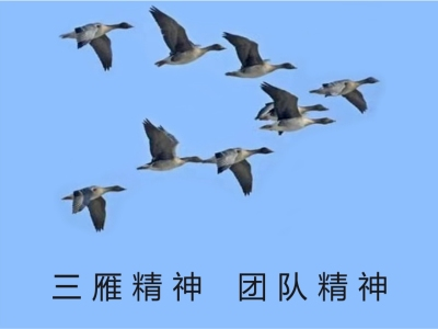 公司簡(jiǎn)介圖